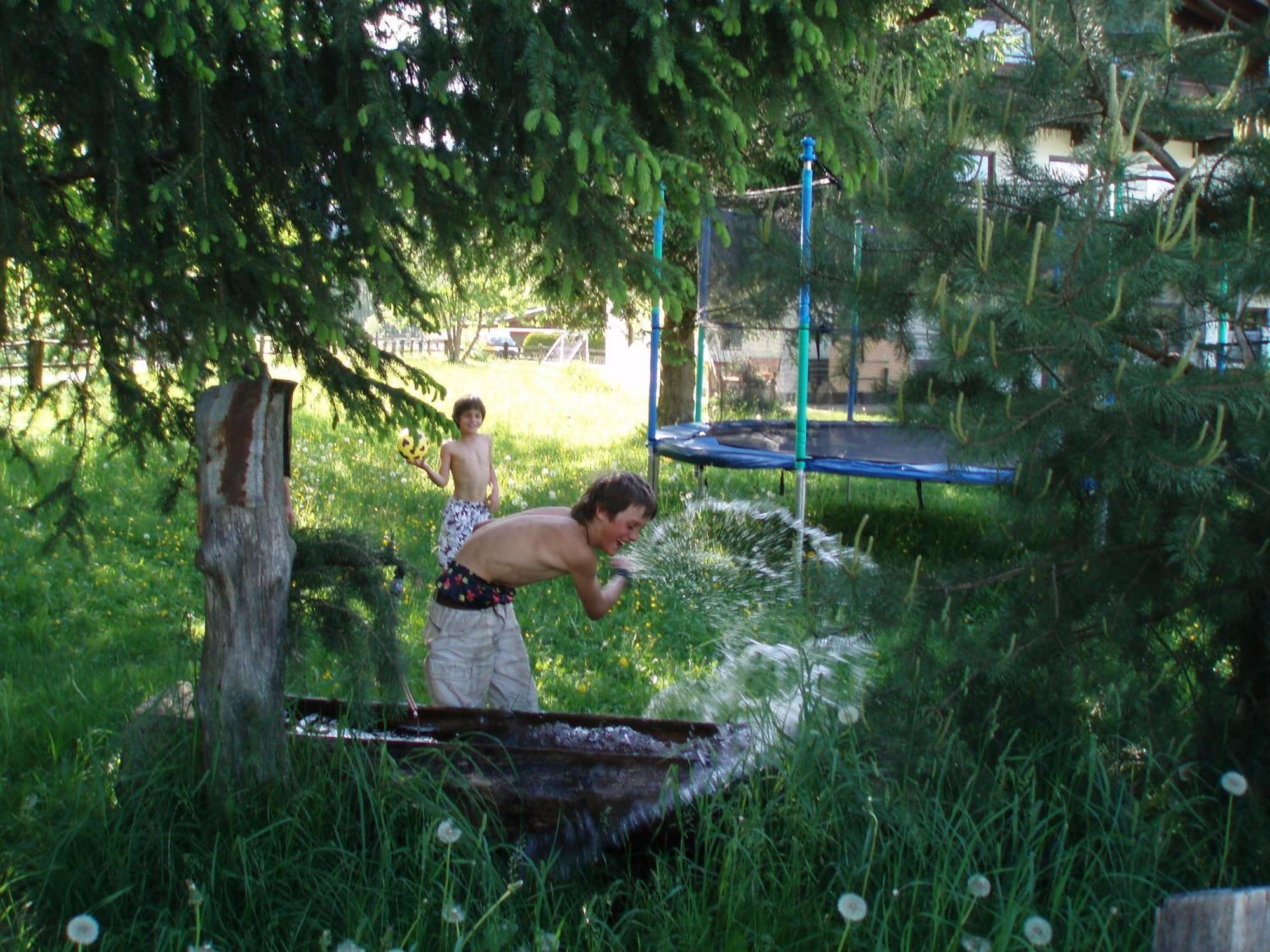 Naturpension Muehlhof Neukirchen am Großvenediger Εξωτερικό φωτογραφία